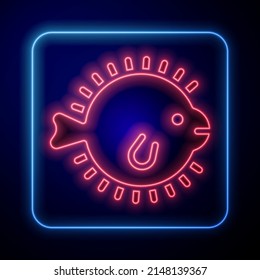 Glowing neon Puffer fish icon isolated on blue background. Fugu fish japanese puffer fish.  Vector