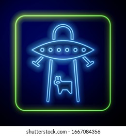 Glowing neon UFO abducts cow icon isolated on blue background. Flying saucer. Alien space ship. Futuristic unknown flying object.  Vector Illustration