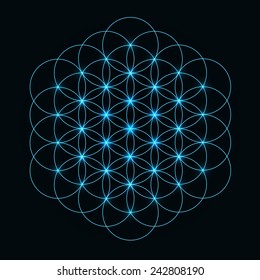 Flower Of Life Symbol Images Stock Photos Vectors