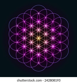 Glowing Ornament Flower of Life - Geometrical Pattern