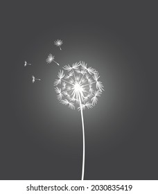 Glowing white dandelion on a black background. Fantasy illustration with dandelion and flying seeds. Monochrome drawing, vector. Lonely flower on a stem. Make a wish