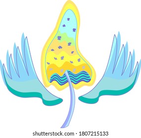 glowing yellow magic mushroom with wings