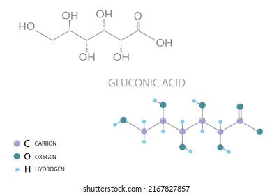 Gluconic acid molecular skeletal 3D chemical formula.