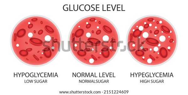 Glucose Blood Vessel Normal Level Hyperglycemia Stock Vector (Royalty ...