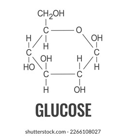 Glucose chemical formula, atomic structure of glucose molecule isolated on white background