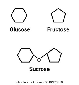 Glucose Fructose And Sucrose Icon Vector