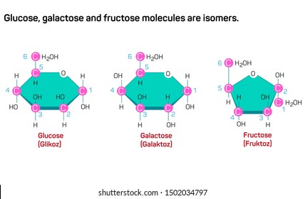 Glucose, galactose and fructose molecules are isomers.