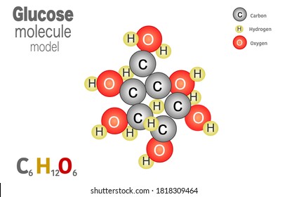 Glucose Molecule Images Stock Photos Vectors Shutterstock