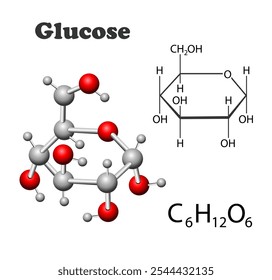 Glucose molecule on a white background. Science infographics vector illustration