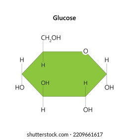 La glucosa es un azúcar simple. Ilustración vectorial.