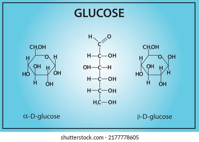 Glucose structure with elements. Glucose is a simple sugar with the molecular formula C₆H₁₂O₆. Glucose is the most abundant monosaccharide, a subcategory of carbohydrates