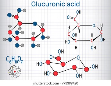 Glucuronic acid molecule, plays an important role in the metabolism of microorganisms, plants , animals. Structural chemical formula and molecule model. Sheet of paper in a cage.Vector illustration

