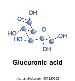 Glucuronic acid is a uronic acid that was first isolated from urine. It is found in many gums such as Gum arabic and Xanthan, and is important for the metabolism of microorganisms, plants and animals.