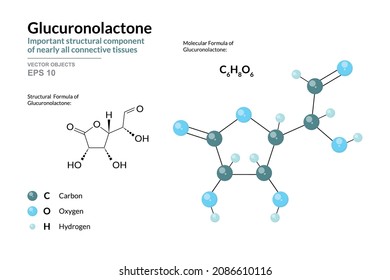 Glucuronolactone. Structural Component of Connective Tissues. Structural Chemical Formula and Molecule 3d Model. C6H8O6. Atoms with Color Coding. Vector Illustration 