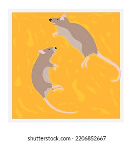 Glue Trapped Rat Pest Vector. Two House Rats died. Isolated on a white background.
