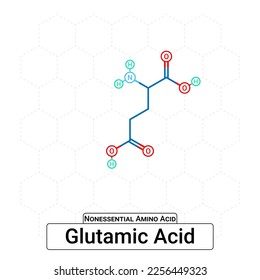Estructura Química Ácido Glutámico Moléculas Orgánicas Aminoácidas No Esenciales, Funcionales, Cadena Lateral, Carboxílico, Grupo Amino, Bloque De Construcción De Proteína Aislado en Fondo Blanco, Química, Biología