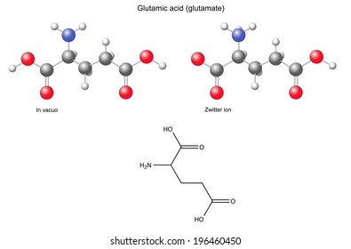 Glutamic acid (Glu) - chemical structural formula and models, amino acid, in vacuo, zwitterion, 2D and 3D illustration, balls and sticks, isolated on white background, vector, eps8