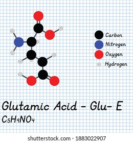 Glutamic Acid - Glu - E Amino Acid molecular formula and chemical structure . 2D Ball and stick model on school paper sheet background. EPS10