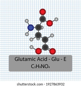 Ácido glutámico - Glu - E - Amino Fórmula molecular ácida y estructura química. Modelo 2D de bolas y palos en el fondo de la hoja de papel de la escuela. EPS10
