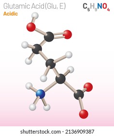 Glutamic Acid (Glu, E) amino acid molecule. (Chemical formula C5H9NO4) aliphatic amino acid molecule. Ball-and-stick model, space-filling model, and skeletal formula. Layered vector