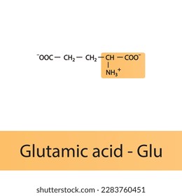 Glutamic acid - Glu - E amino acid structure. Skeletal formula with amino group highlighted in orange. Scientific illustration.