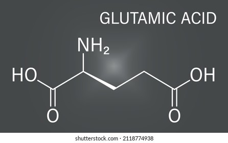 Glutamic acid or l-glutamic acid, Glu, E, amino acid and neurotransmitter molecule. Skeletal formula.