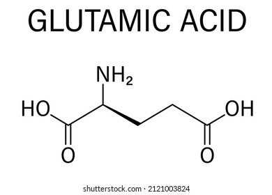 Glutamic acid or l-glutamic acid, Glu, E, amino acid and neurotransmitter molecule. Skeletal formula.