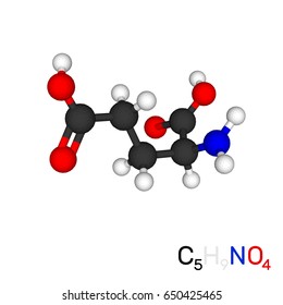 Glutamic acid model molecule. Isolated on white background. 3d Vector illustration.