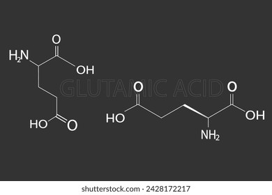 Glutamic acid molecular skeletal chemical formula