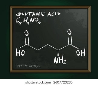 Glutamic acid molecule C5H9NO4. School style hand drawn design. Molecular structure. Realistic image for scientific visualization in biochemistry, nutrition, and molecular biology. Vector illustration