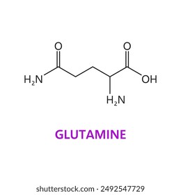 Glutamine amino acid chemical molecule, essential chain structure. Nutritional supplement chemical formula, muscle protein molecule compound or essential amino acid science vector structure