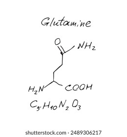 Glutamine C5H10N2O3 molecule formula. Hand drawn imitation of glutamine structural model, chemistry skeletal formula, sketchy vector symbol