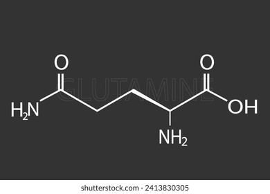 Glutamine molecular skeletal chemical formula
