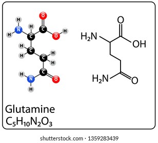 Glutamine Molecule Structure