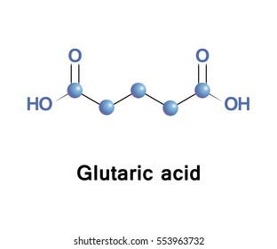 Glutaric acid is produced in the body during the metabolism of some amino acids, including lysine and tryptophan. Defects in this metabolic pathway lead to a disorder called glutaric aciduria.