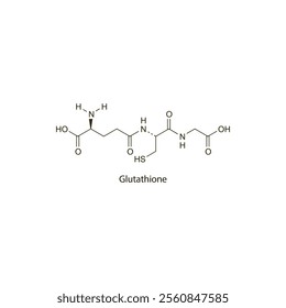 Glutathione flat skeletal molecular structure antioxidant drug used in antineoplastic neurotoxicity treatment. Vector illustration scientific diagram.