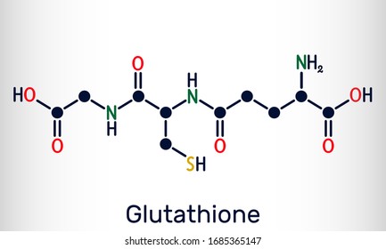 Glutathione, GSH, C10H17N3O6S molecule. It is an important antioxidant in plants, animals and some bacteria. Structural chemical formula. Vector illustration