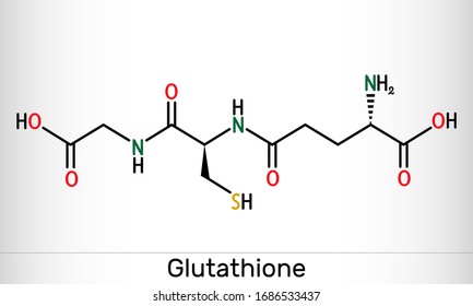 Glutathione, GSH, C10H17N3O6S molecule. It is an important antioxidant in plants, animals and some bacteria. Structural chemical formula. Vector illustration