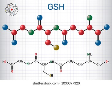 Glutathione (GSH) molecule, is an important antioxidant in plants, animals and some bacteria. Structural chemical formula and molecule model. Sheet of paper in a cage. Vector illustration