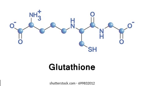 Glutathione is a important antioxidant in plants, animals, fungi, and some bacteria and archaea. It prevents damage to important cellular components caused by reactive oxygen species 