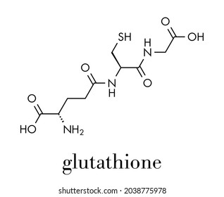 Glutathione (reduced glutathione, GSH) endogenous antioxidant molecule. Skeletal formula.