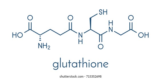 Glutathione (reduced glutathione, GSH) endogenous antioxidant molecule. Skeletal formula.