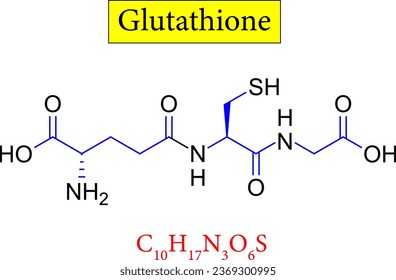 Glutathione structure ,formula .Vector illustration svg