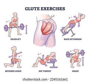 Ejercicios de gluta con nalgas corporales ejemplos de entrenamiento deportivo diagrama esquemático. Ilustración del vector de entrenamiento de pulmón y movimiento de cadera con lodo de elevación-retorno, extensión de espalda, cuclilla, empuje de cadera e ilustración del vector de entrenamiento pulmonar.