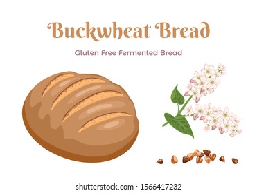 Gluten Free Buckwheat Bread Isolated on white background. Fresh pastries, flowering buckwheat and heap of grain. Vector baking illustration in cartoon simple flat style. Healthy food concept.