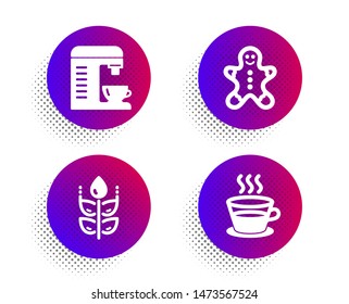 Gluten free, Coffee machine and Gingerbread man icons simple set. Halftone dots button. Coffee cup sign. Bio ingredients, Cappuccino machine, Christmas cookie. Tea mug. Food and drink set. Vector