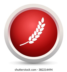 gluten free icon