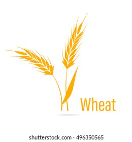 Gluten free icon. Ears of Wheat, Vector Illustration, Icon of Premium Quality Farm Product. Agricultural symbols isolated on white background. Design elements for bread packaging or beer label.