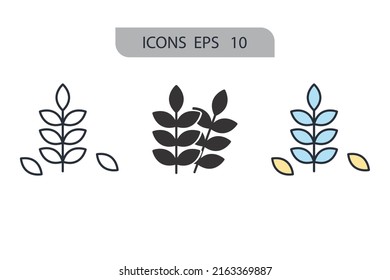 Gluten Free Icons  Symbol Vector Elements For Infographic Web