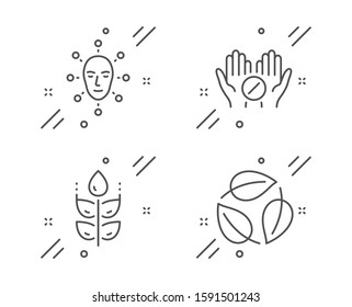 Gluten free, Medical tablet and Face biometrics line icons set. Leaves sign. Bio ingredients, Medicine pill, Facial recognition. Nature leaf. Healthcare set. Line gluten free outline icon. Vector